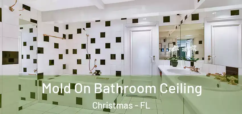  Mold On Bathroom Ceiling Christmas - FL
