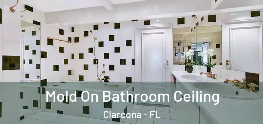  Mold On Bathroom Ceiling Clarcona - FL