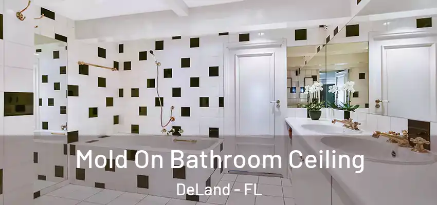  Mold On Bathroom Ceiling DeLand - FL