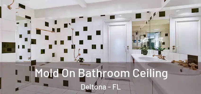  Mold On Bathroom Ceiling Deltona - FL