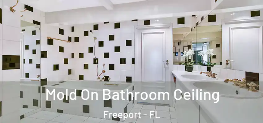  Mold On Bathroom Ceiling Freeport - FL