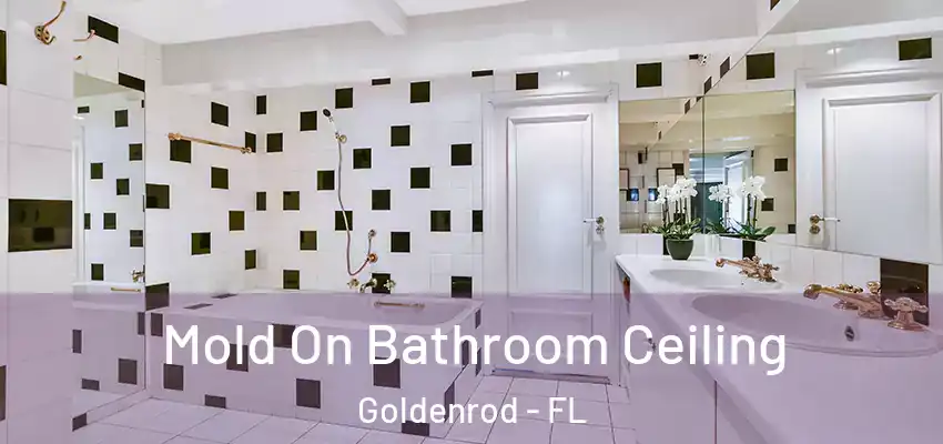 Mold On Bathroom Ceiling Goldenrod - FL