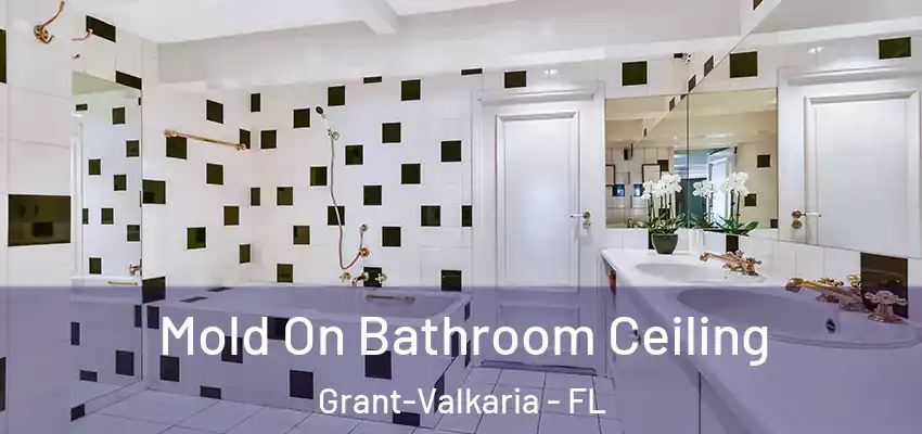  Mold On Bathroom Ceiling Grant-Valkaria - FL