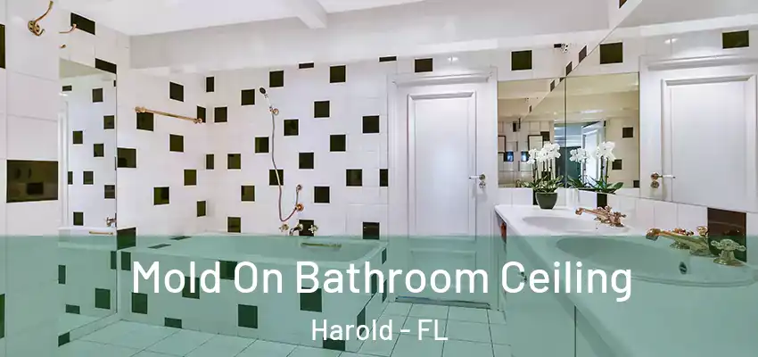 Mold On Bathroom Ceiling Harold - FL