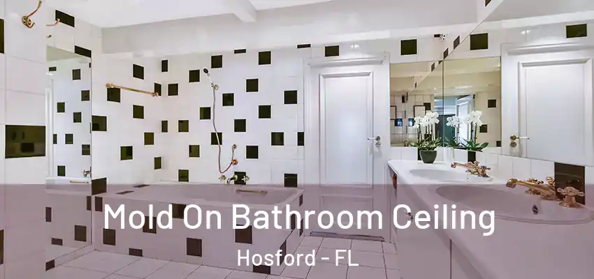 Mold On Bathroom Ceiling Hosford - FL
