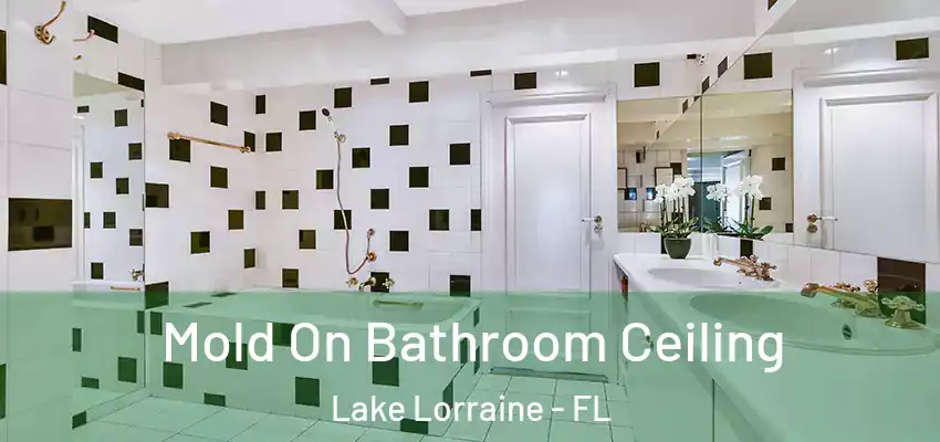  Mold On Bathroom Ceiling Lake Lorraine - FL