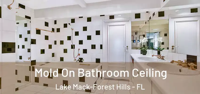  Mold On Bathroom Ceiling Lake Mack-Forest Hills - FL