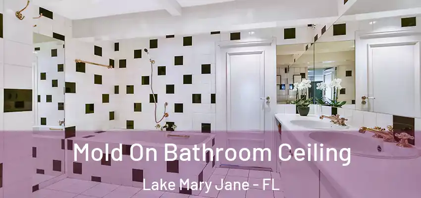  Mold On Bathroom Ceiling Lake Mary Jane - FL