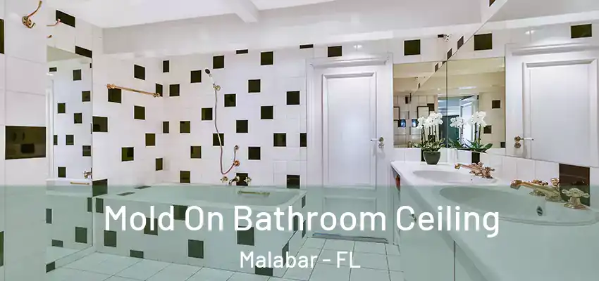  Mold On Bathroom Ceiling Malabar - FL