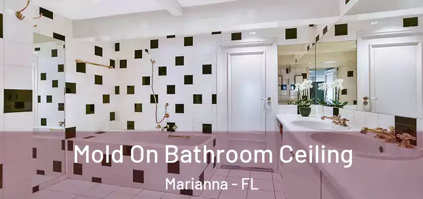 Mold On Bathroom Ceiling Marianna - FL