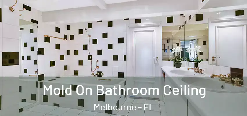 Mold On Bathroom Ceiling Melbourne - FL