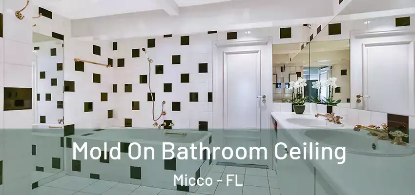  Mold On Bathroom Ceiling Micco - FL