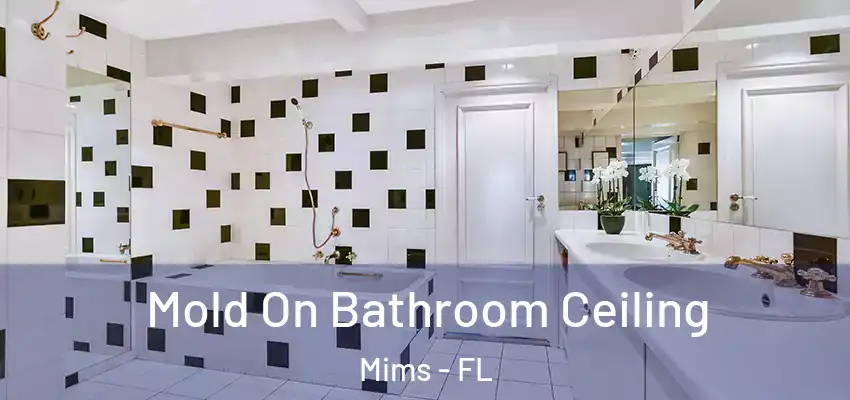  Mold On Bathroom Ceiling Mims - FL