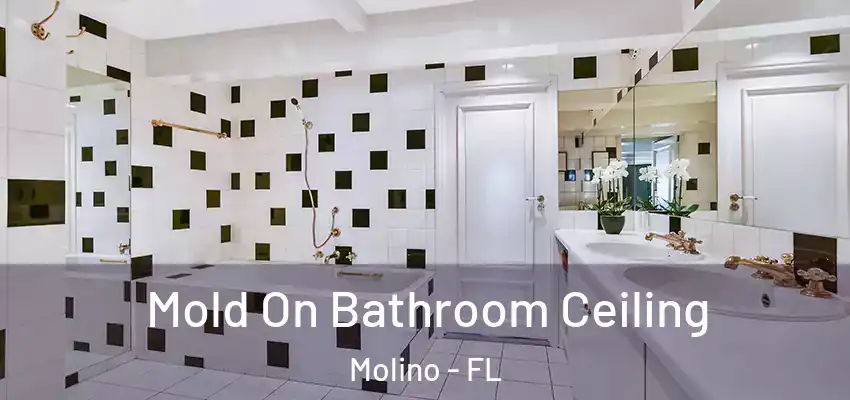 Mold On Bathroom Ceiling Molino - FL