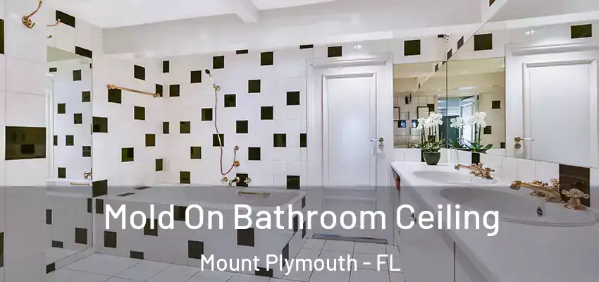  Mold On Bathroom Ceiling Mount Plymouth - FL