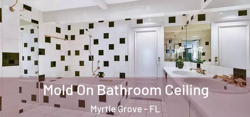  Mold On Bathroom Ceiling Myrtle Grove - FL