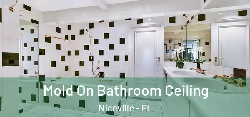  Mold On Bathroom Ceiling Niceville - FL