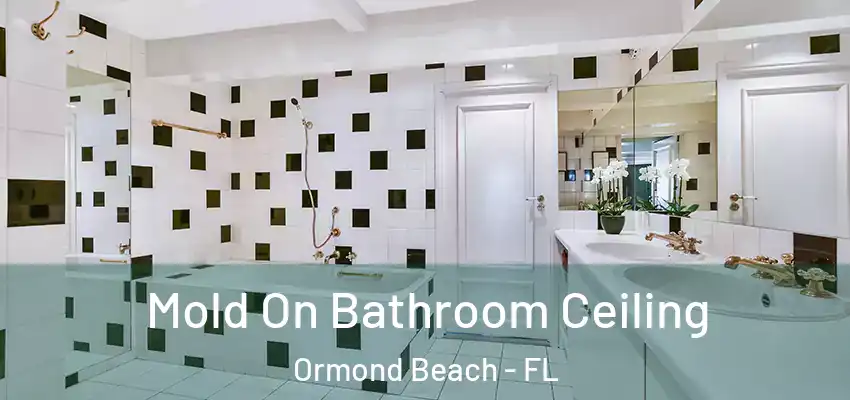  Mold On Bathroom Ceiling Ormond Beach - FL