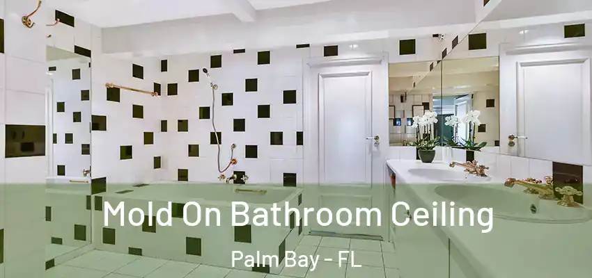  Mold On Bathroom Ceiling Palm Bay - FL