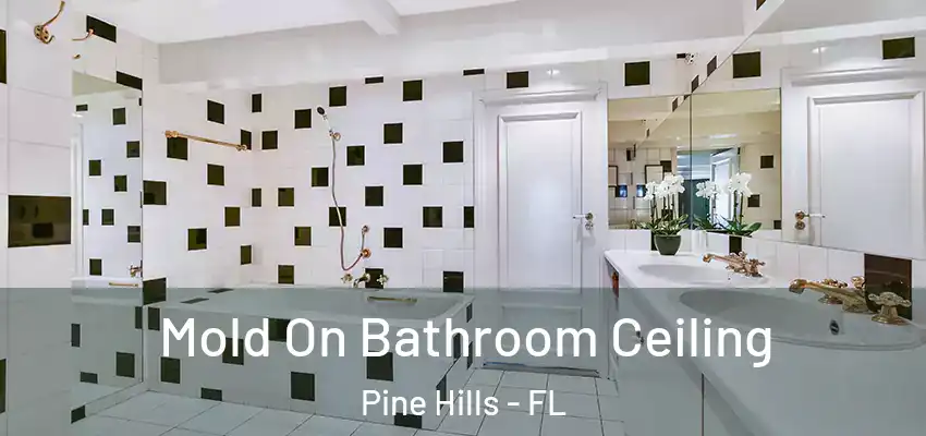Mold On Bathroom Ceiling Pine Hills - FL