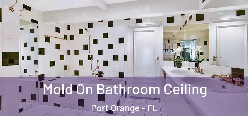  Mold On Bathroom Ceiling Port Orange - FL