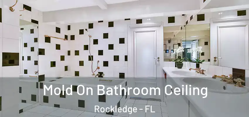  Mold On Bathroom Ceiling Rockledge - FL