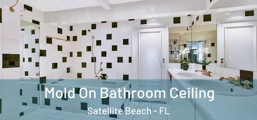  Mold On Bathroom Ceiling Satellite Beach - FL