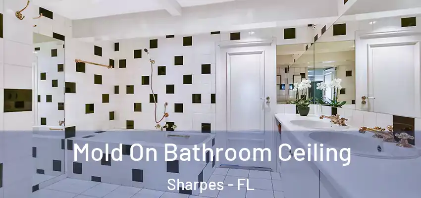  Mold On Bathroom Ceiling Sharpes - FL