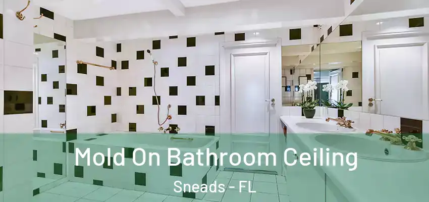  Mold On Bathroom Ceiling Sneads - FL