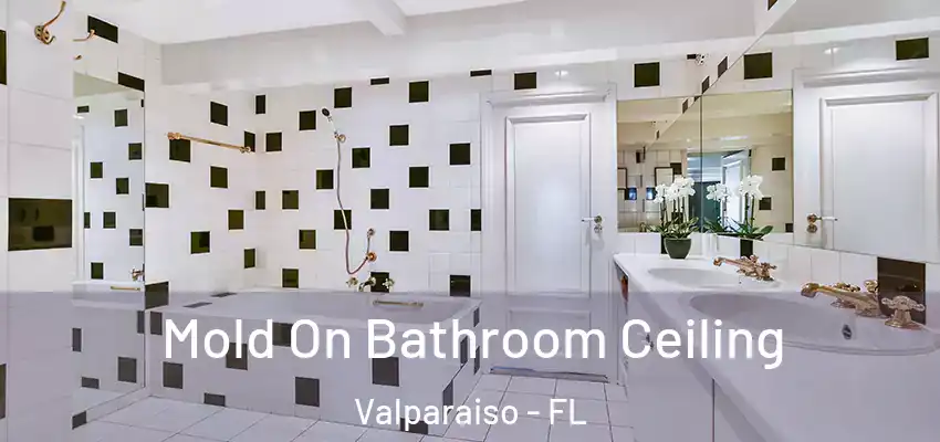 Mold On Bathroom Ceiling Valparaiso - FL
