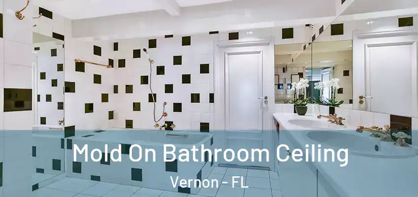  Mold On Bathroom Ceiling Vernon - FL