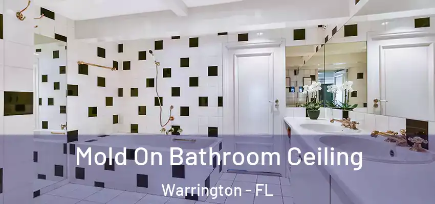 Mold On Bathroom Ceiling Warrington - FL