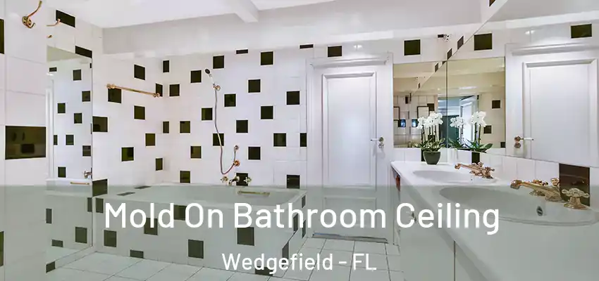 Mold On Bathroom Ceiling Wedgefield - FL