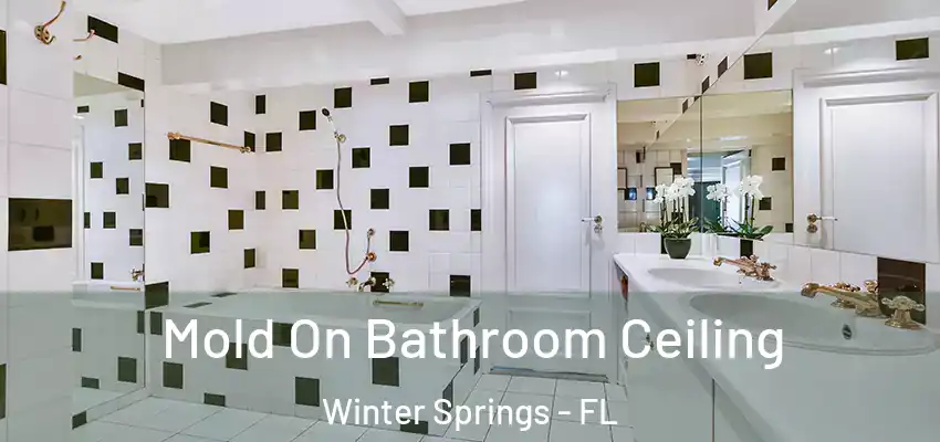  Mold On Bathroom Ceiling Winter Springs - FL