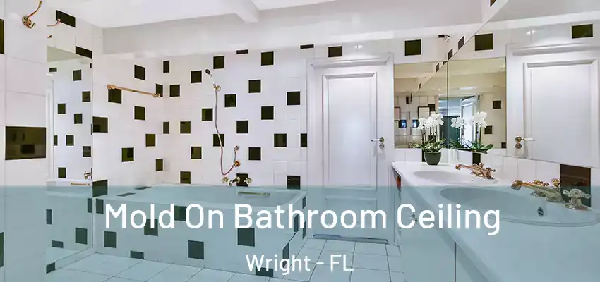  Mold On Bathroom Ceiling Wright - FL