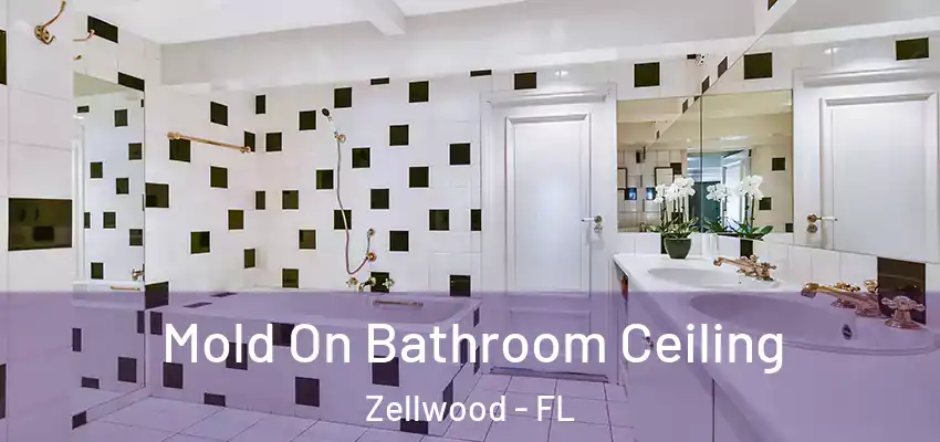  Mold On Bathroom Ceiling Zellwood - FL