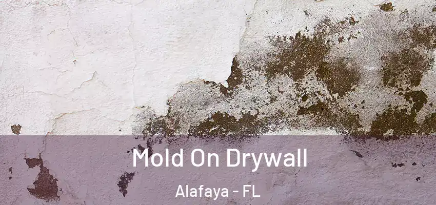  Mold On Drywall Alafaya - FL