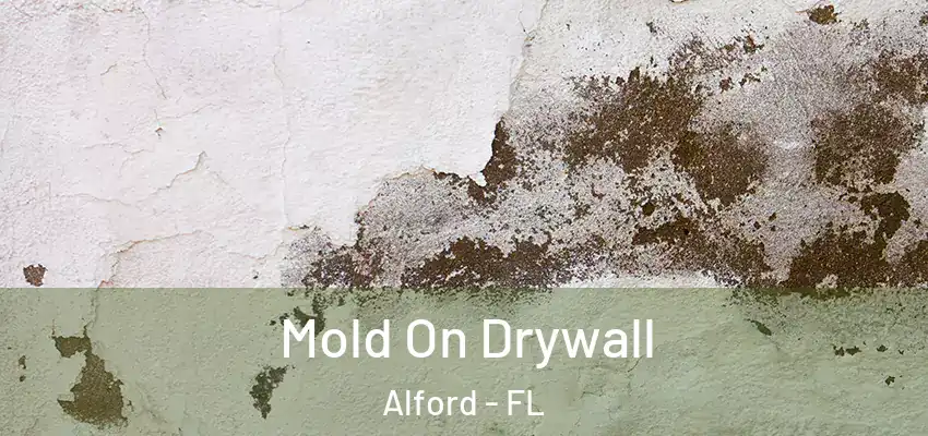  Mold On Drywall Alford - FL