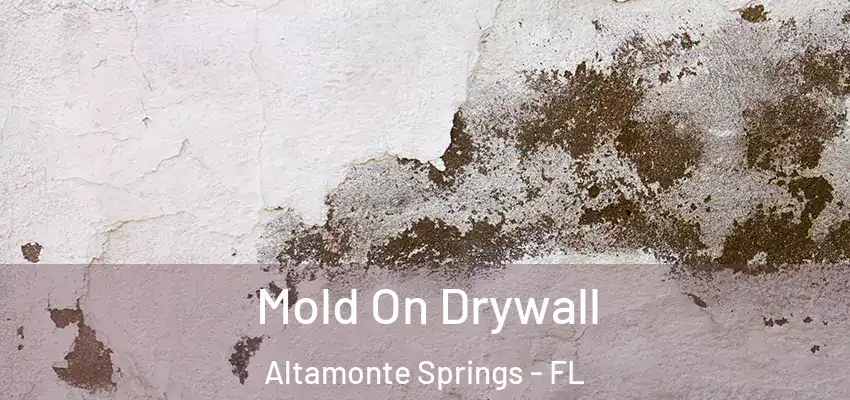  Mold On Drywall Altamonte Springs - FL