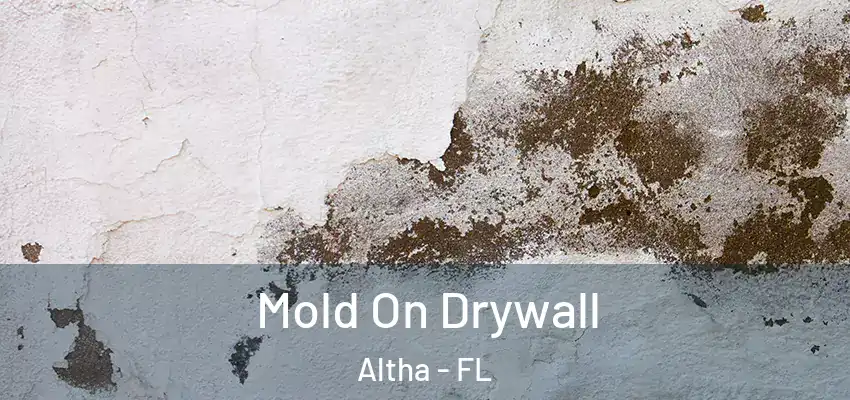  Mold On Drywall Altha - FL