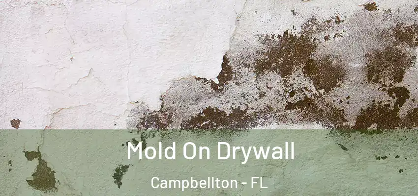 Mold On Drywall Campbellton - FL