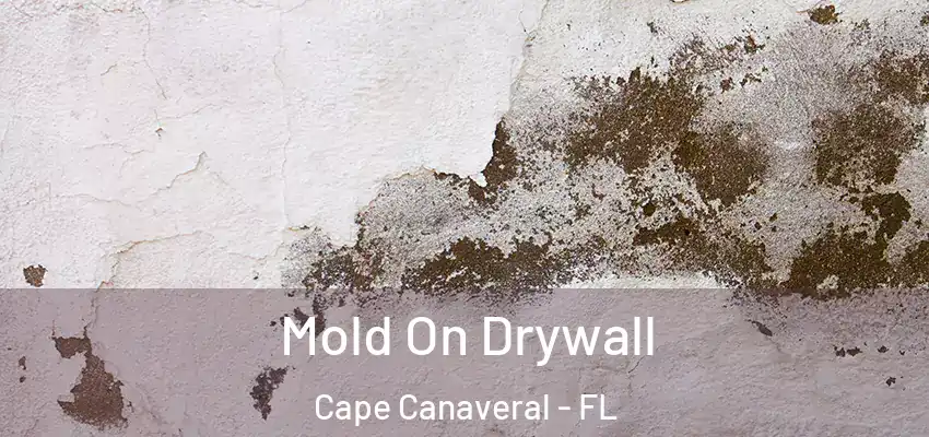  Mold On Drywall Cape Canaveral - FL