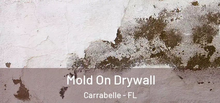  Mold On Drywall Carrabelle - FL
