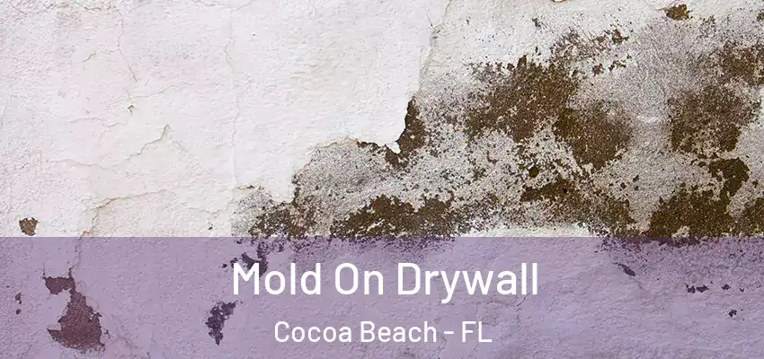 Mold On Drywall Cocoa Beach - FL