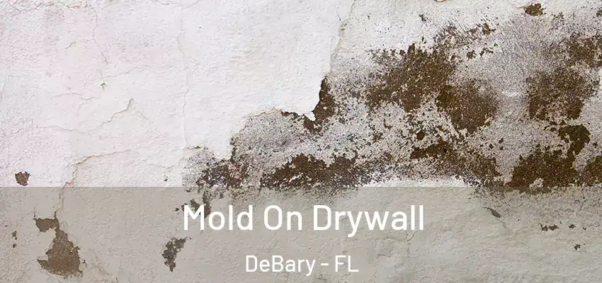  Mold On Drywall DeBary - FL