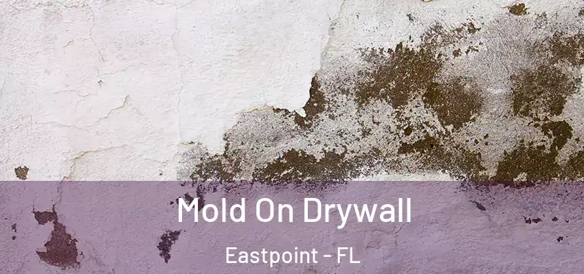  Mold On Drywall Eastpoint - FL