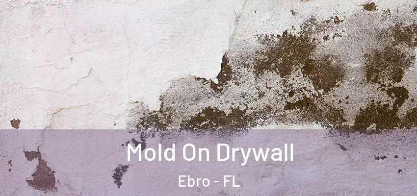  Mold On Drywall Ebro - FL