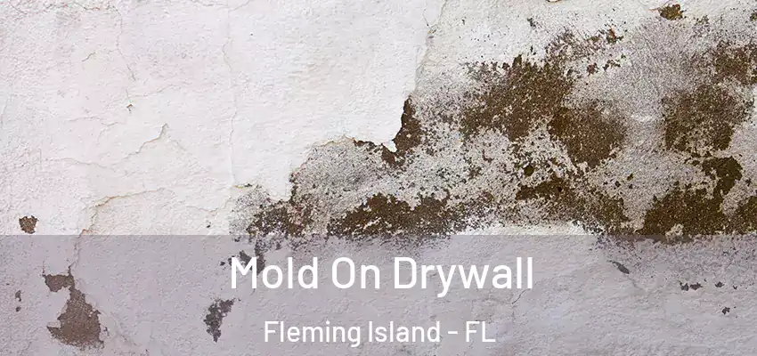Mold On Drywall Fleming Island - FL