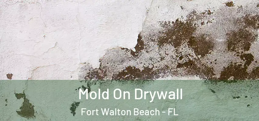  Mold On Drywall Fort Walton Beach - FL