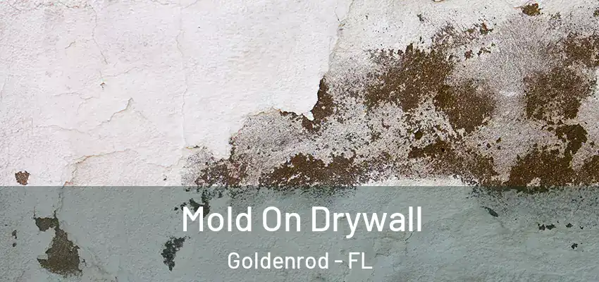 Mold On Drywall Goldenrod - FL